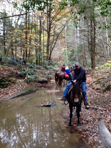 johnathan-in-creek-ky