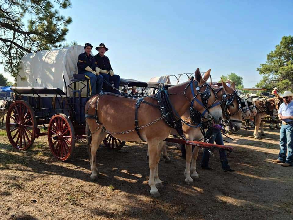 Cheyenne Frontier Days Rodeo 2021