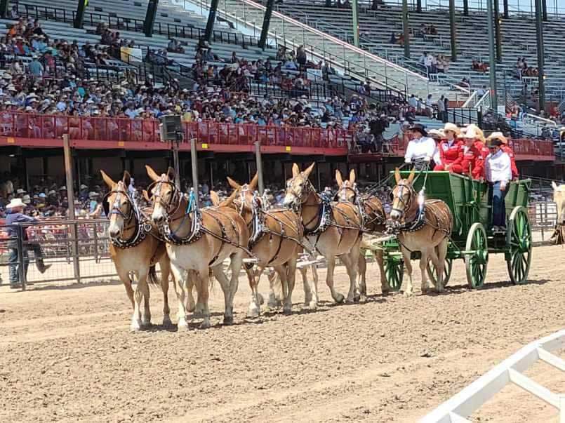 2021 Cheyenne Frontier Days Rodeo 2022