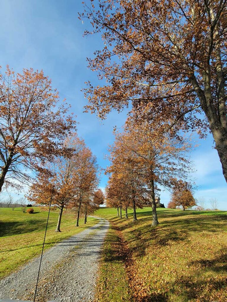 Riding path to Chambers Stables Barn