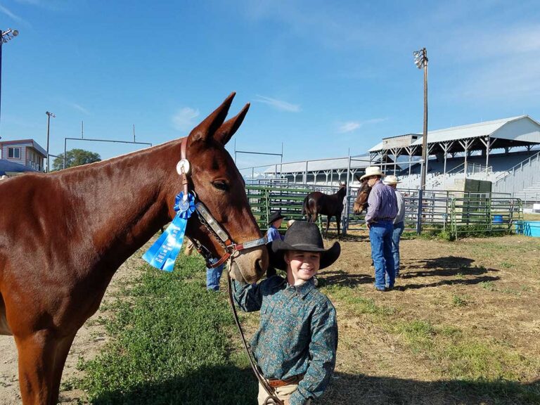 Jack First Place Ribbon