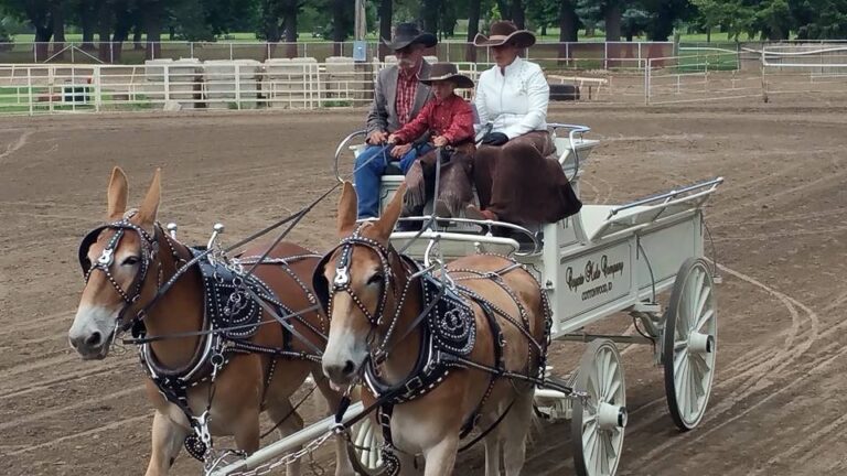 Jack Driving at Mule Mania in Dayton WA