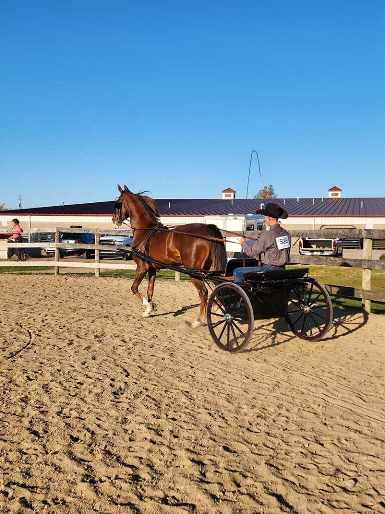 Jack Driving a Horse